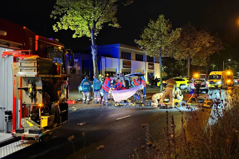 frankeneng-670392a4d59fe