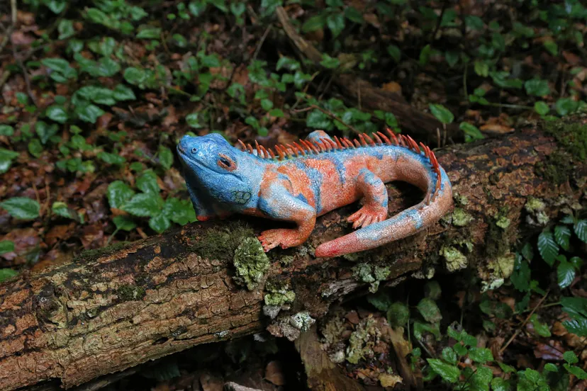 Hommage aan de Natuur