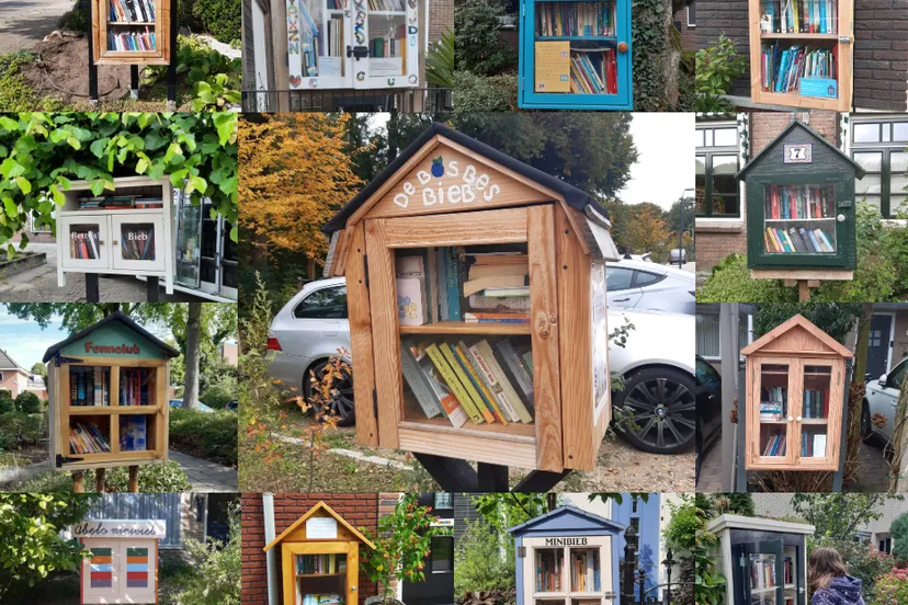 Collectie_minibiebs_Ede_door Cynthia Lukassen RECHTENVRIJ