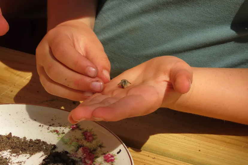 kinderactiviteiten - nc de ginkel 300dpi