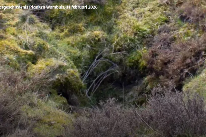 IVN Natuur Educatie Ede