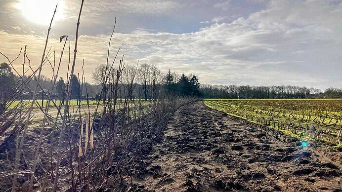 csm_PB015_-_Natuurcompensatie_2_f5f22f3e39