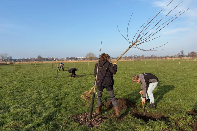 Fruitbomen planten_Carola van Ruiswijk2