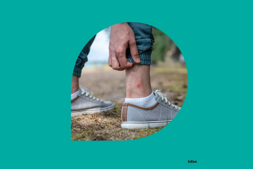 Campagne-beeld_Hooikoorts-of-insectenbeet-kijk-eerst-online_InEen