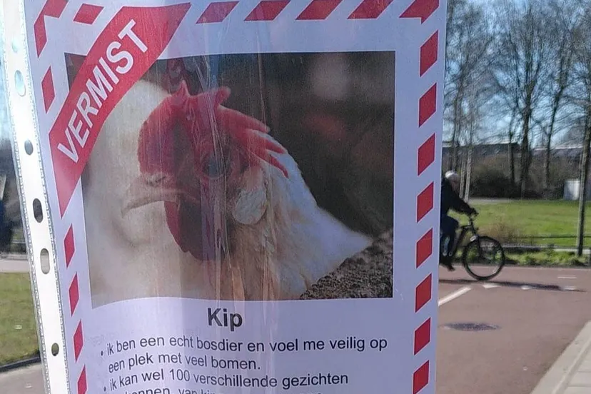 Vermist-poster