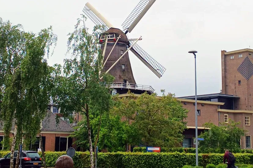concordia-molen