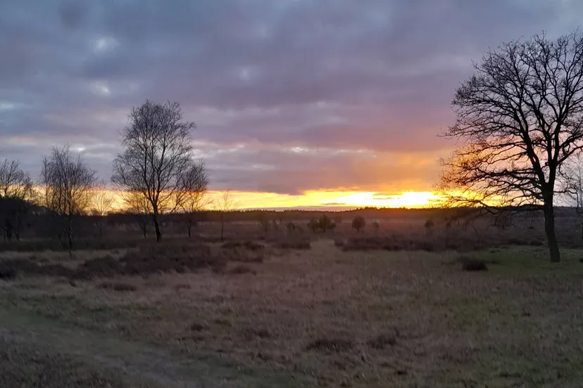 ondergaande zon - nc de ginkel