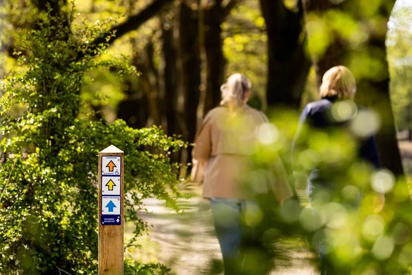 Wandelcampagne 2026 - routenetwerk