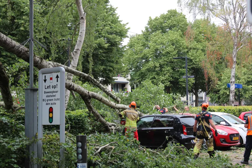 Zware boomtak valt op auto's op de Halte in Ede © Chris Ede.nieuws.nl