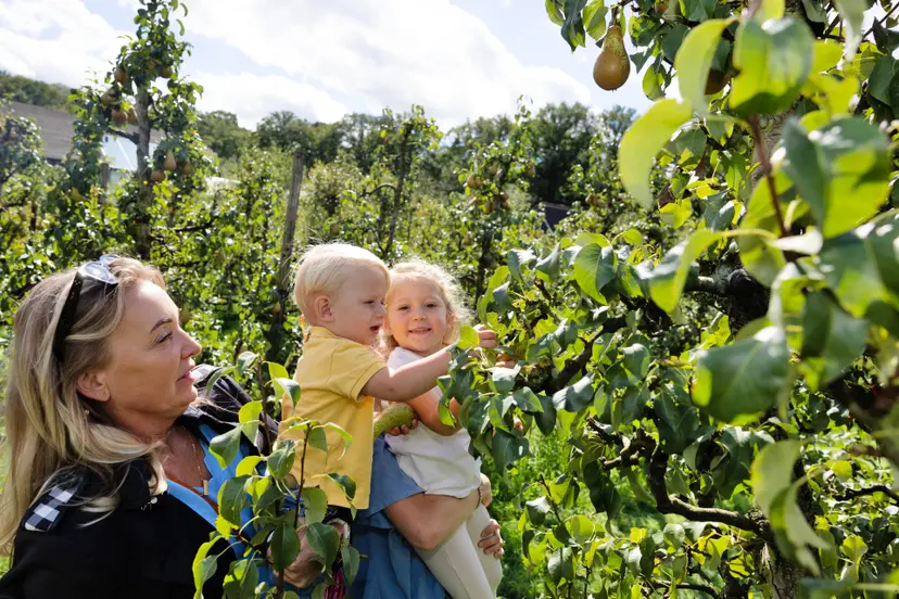 240908 5930 Appelplukdagen