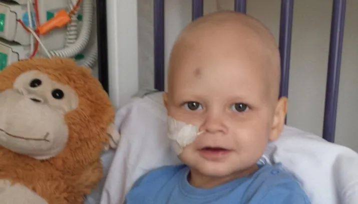 02en stoere alexander