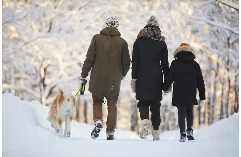 03en veluwsewandeldagen