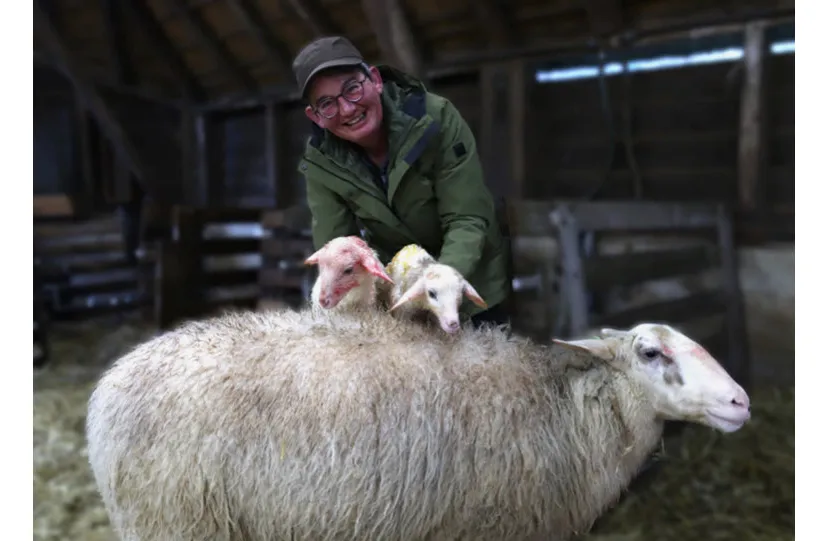 04en eerstelammetje2024