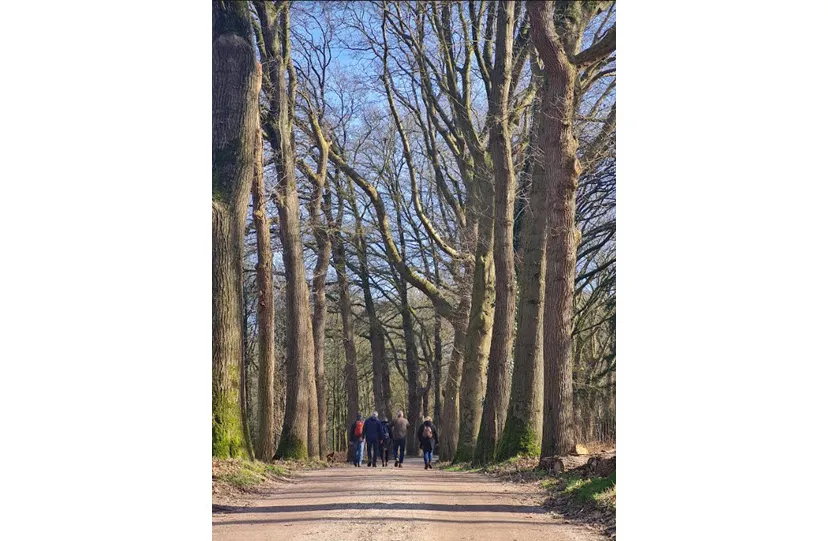 05en veluwsewandeldagen