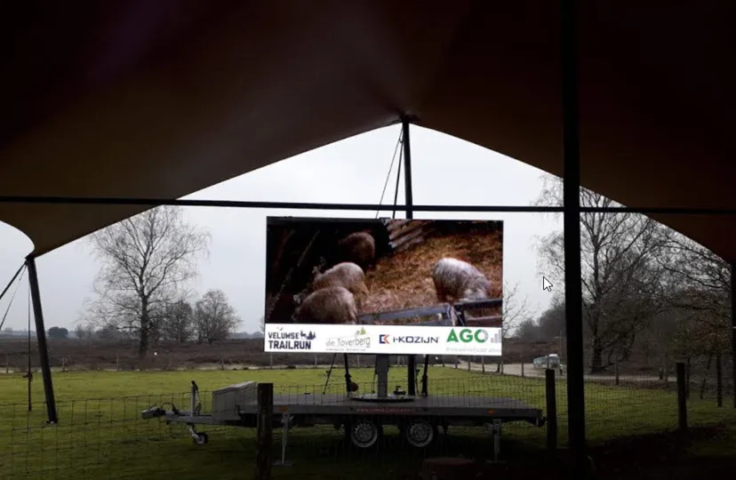 06en beeldenlammetjes