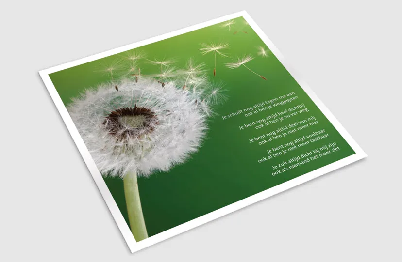 08en column varenhof