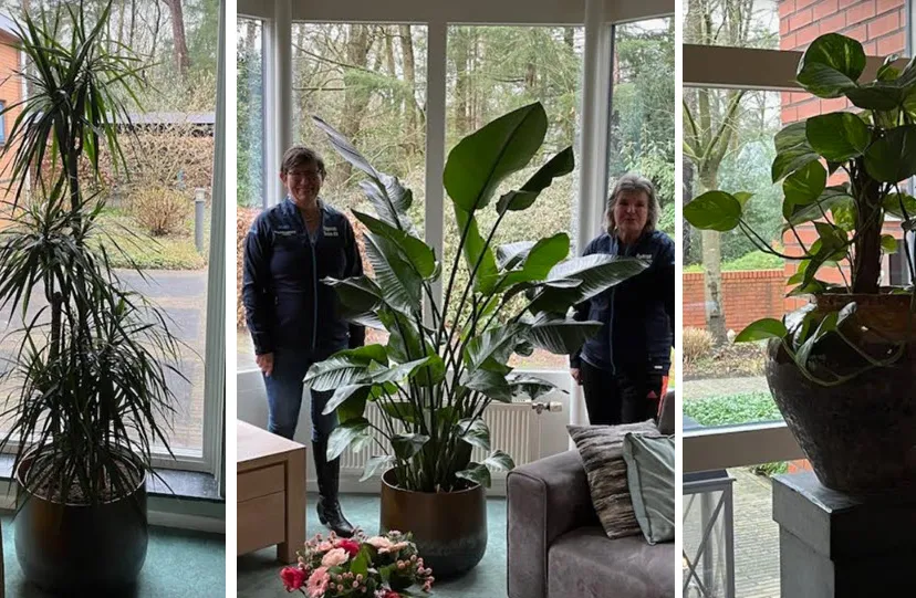 08en plantenhospice1