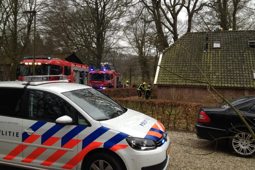 11en brand2