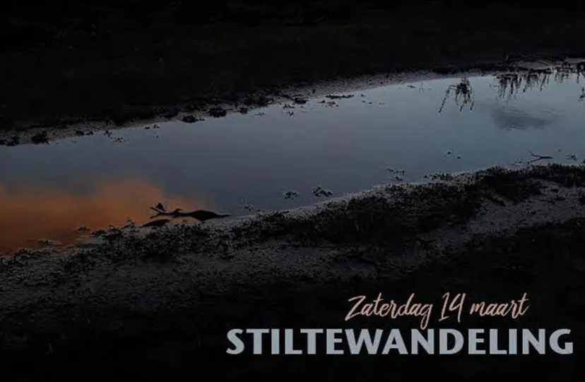 11en stiltewandeling