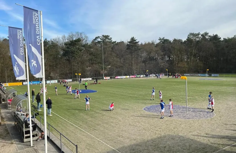 16en dindoakunstgras