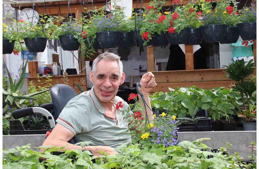 22en bloemenhofzomerbloeiers1