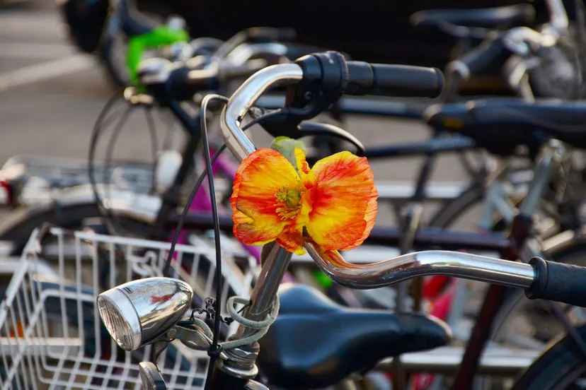 25en fietsparkeerplaats