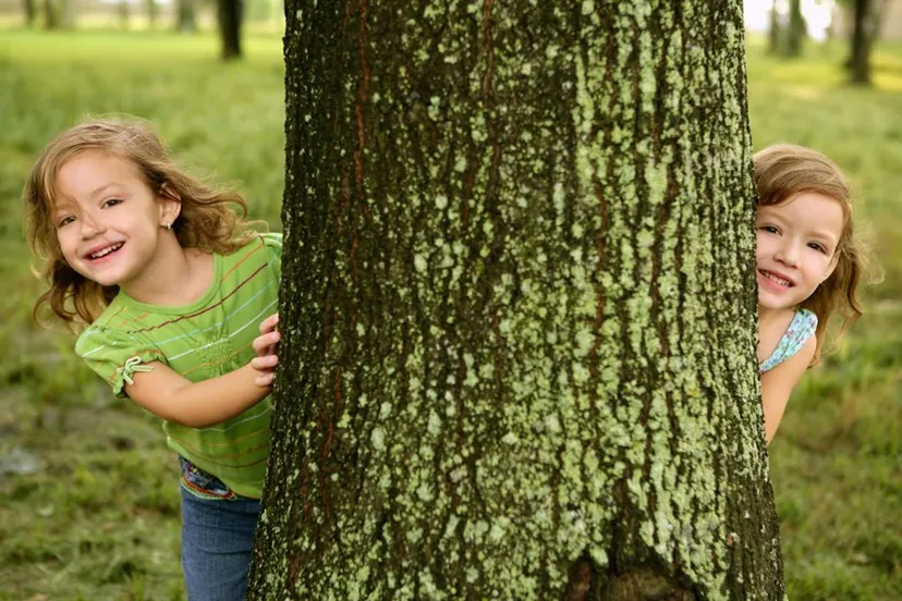 29en speurtochtlandgoedstaverden