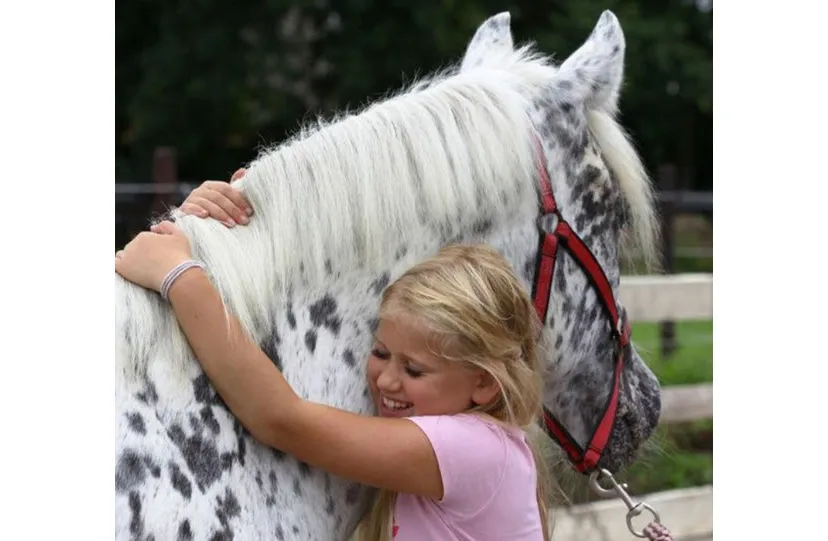 33en myimperiumkeuken