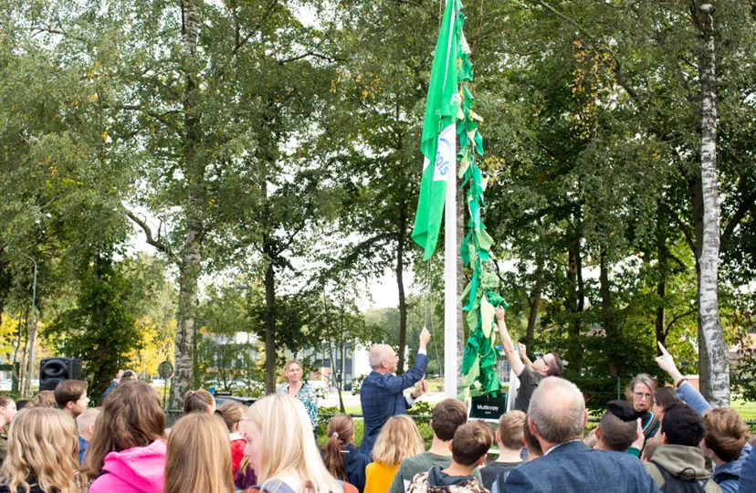 41en ecovlag