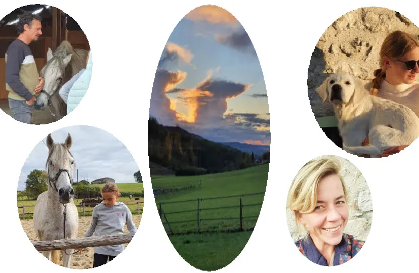 45en renategoossensen