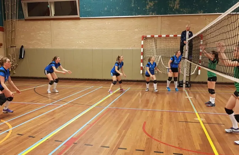 47en pauwervolldames