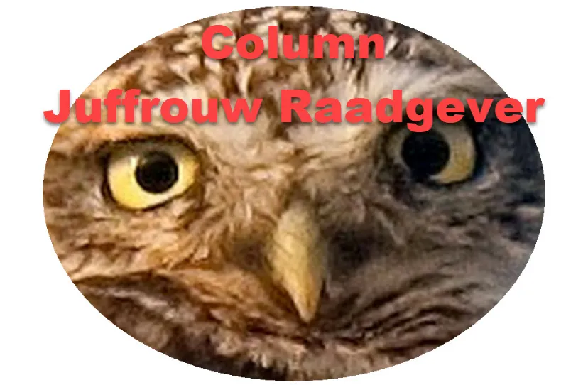 48en juffrouwraadgever