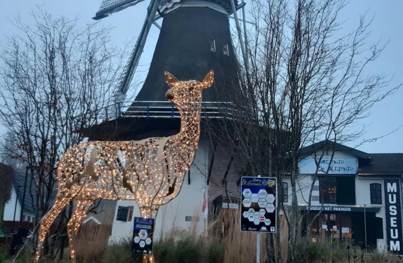 50en kerstverlichting