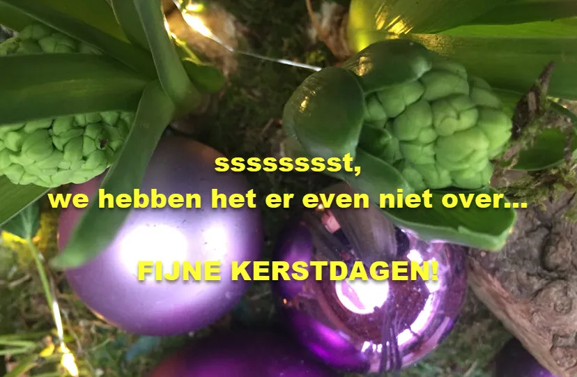 51en kerstwens