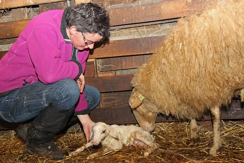 aa6bntoe8z4pbbffbi4tp8e44 04en kraamkamer