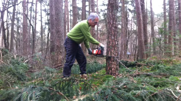 aetgmfbj0h4arumccvpui661b dickblaft 16 1