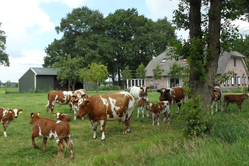 ahuscgu8mmox64hvjfmrdbcwu 37en h en t