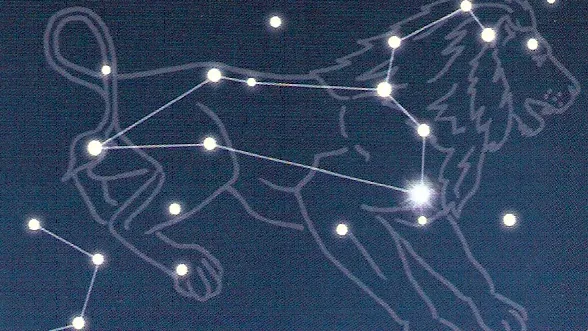 b38oy63g8mnsl7if2uqcvp663 08en nmp leeuw