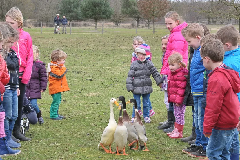 b4u2cfcuc3yizakglpd8898xx 13en lam 8