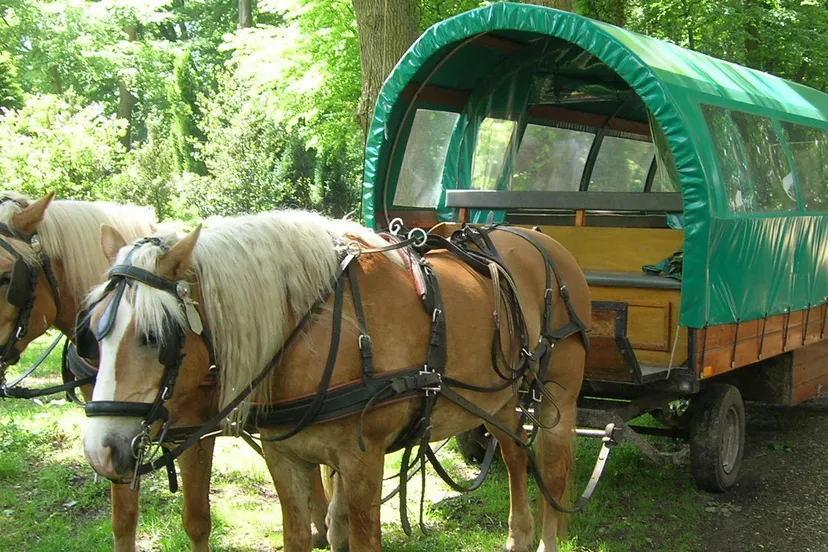 cec6ckuzfu7q5nc9ts8qlk0in 21en huifkar