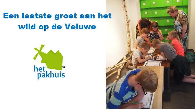 ckmpz37qvclbufm7kwm30lmib 34en pakhuis