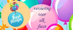 dizilch1ms8d0c4booccdz0t4 banner feestfestijn banner