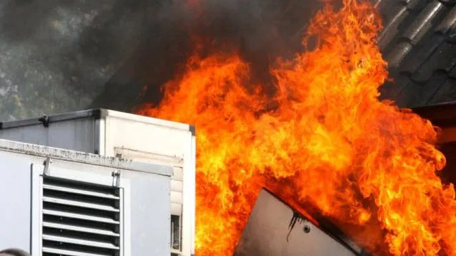 ds0bh8cq1lo5sezxl50c8yh2l 29en brand