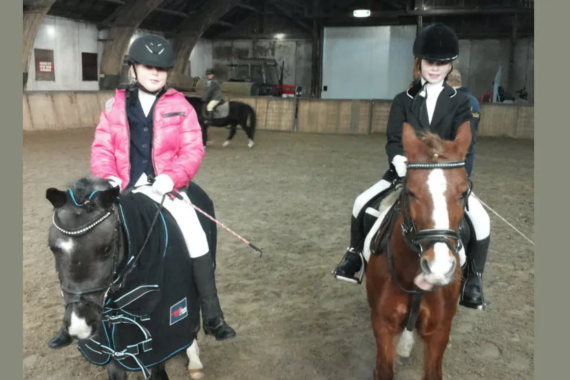 dzi25o29z18jbegpkquyzhdem 12en veluws ros