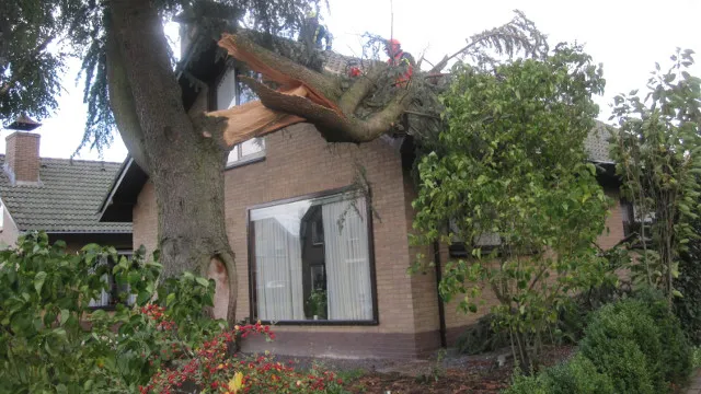 ed5ghzm5omt69wng3rclcblki 44en stormschade 2 ti