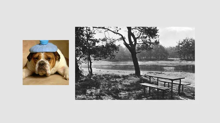 f6fznn9lh5g5982h8b3013fzc dickblaft43