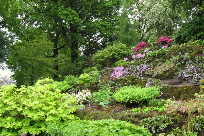 favy0pi8as5v02cj7bolxfn67 07en g en b