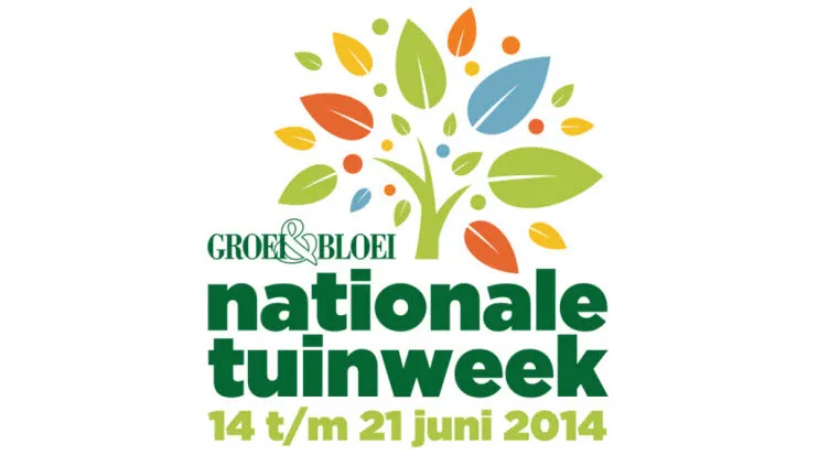 femeqi7ob931yqrruxux7ibh3 24en groei