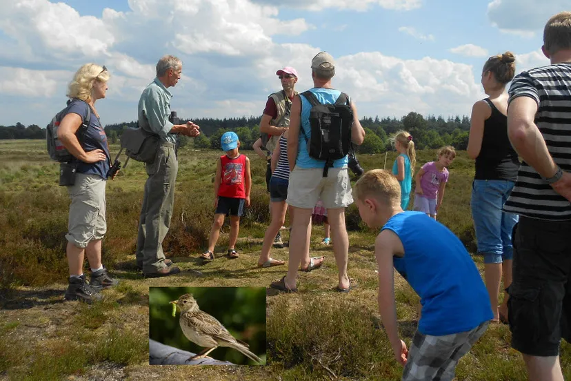 fpd3ojedbfd2f1dwetbvfer0u 17en vogelwandeling