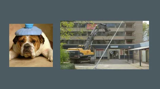 g437poynode6iubo6ozk6bdey dickblaft47